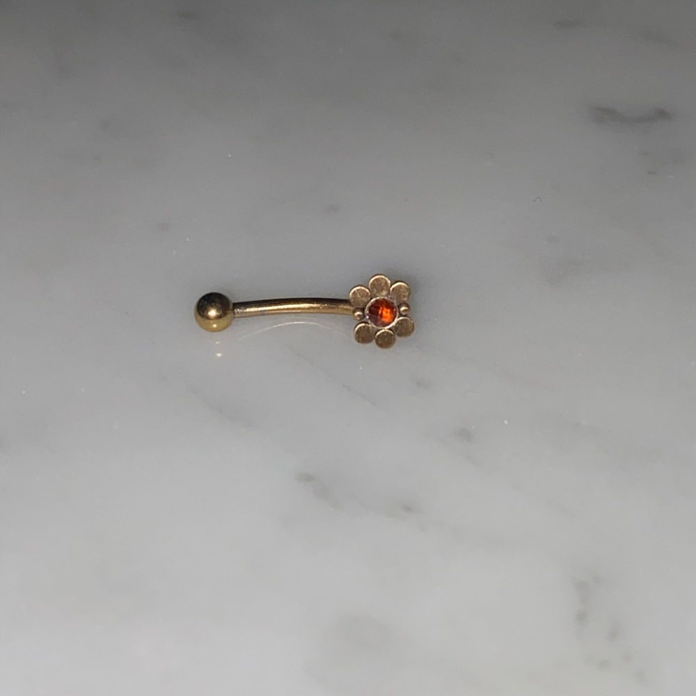 Internally Threaded Eyebrow/Rook Piercing